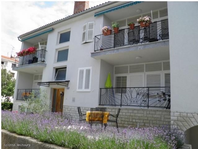 Apartment Jurcan *